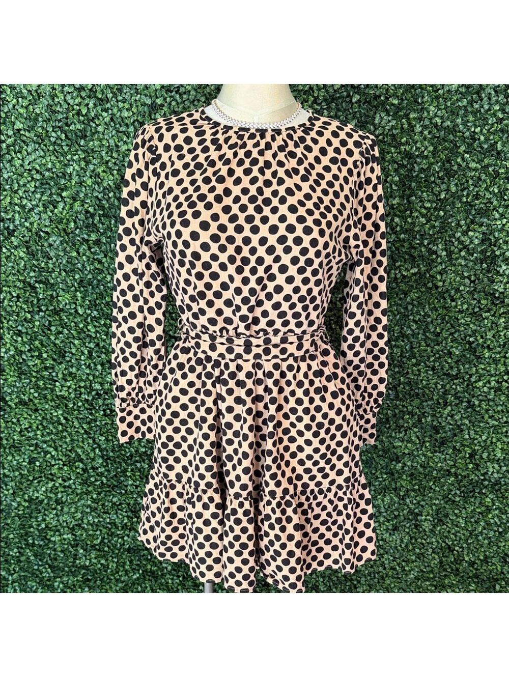 Who What Where Chic Polka Dot Long Sleeve Dress